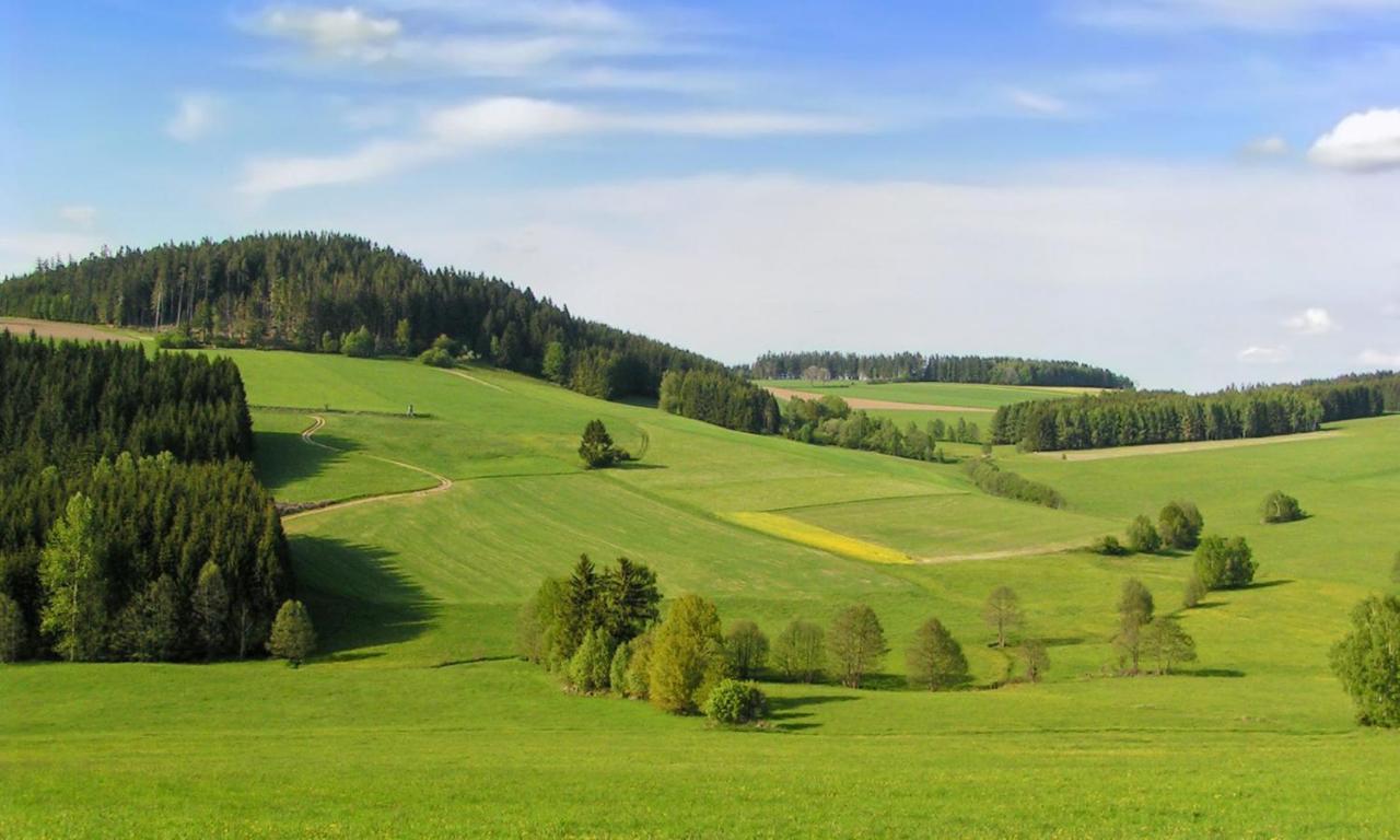 Hotel Brunnwald Бад Леонфелден Екстериор снимка